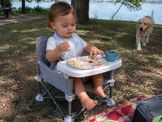 Rehausseur Pliant Transportable - Chaise Nomade avec Plateau pour Bébé